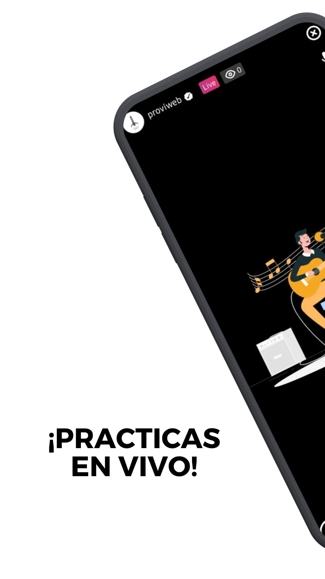 Screenshot PROVIWEB 2