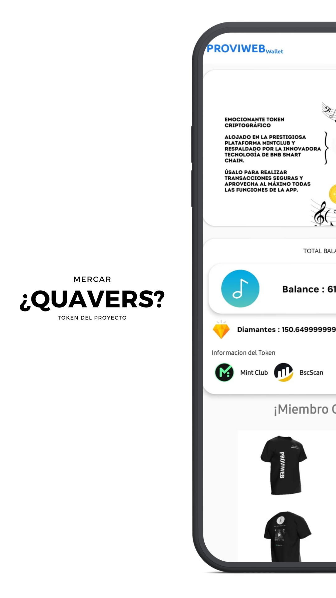 Screenshot PROVIWEB 6